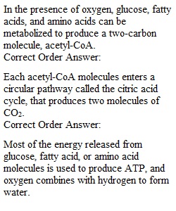 Worksheet 3.3